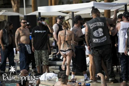 normal_palmsprings791.jpg