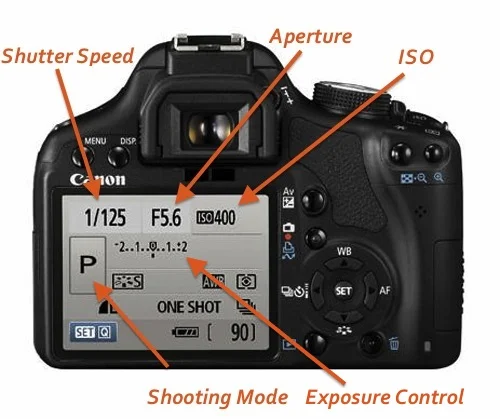 One on one photography Starter course