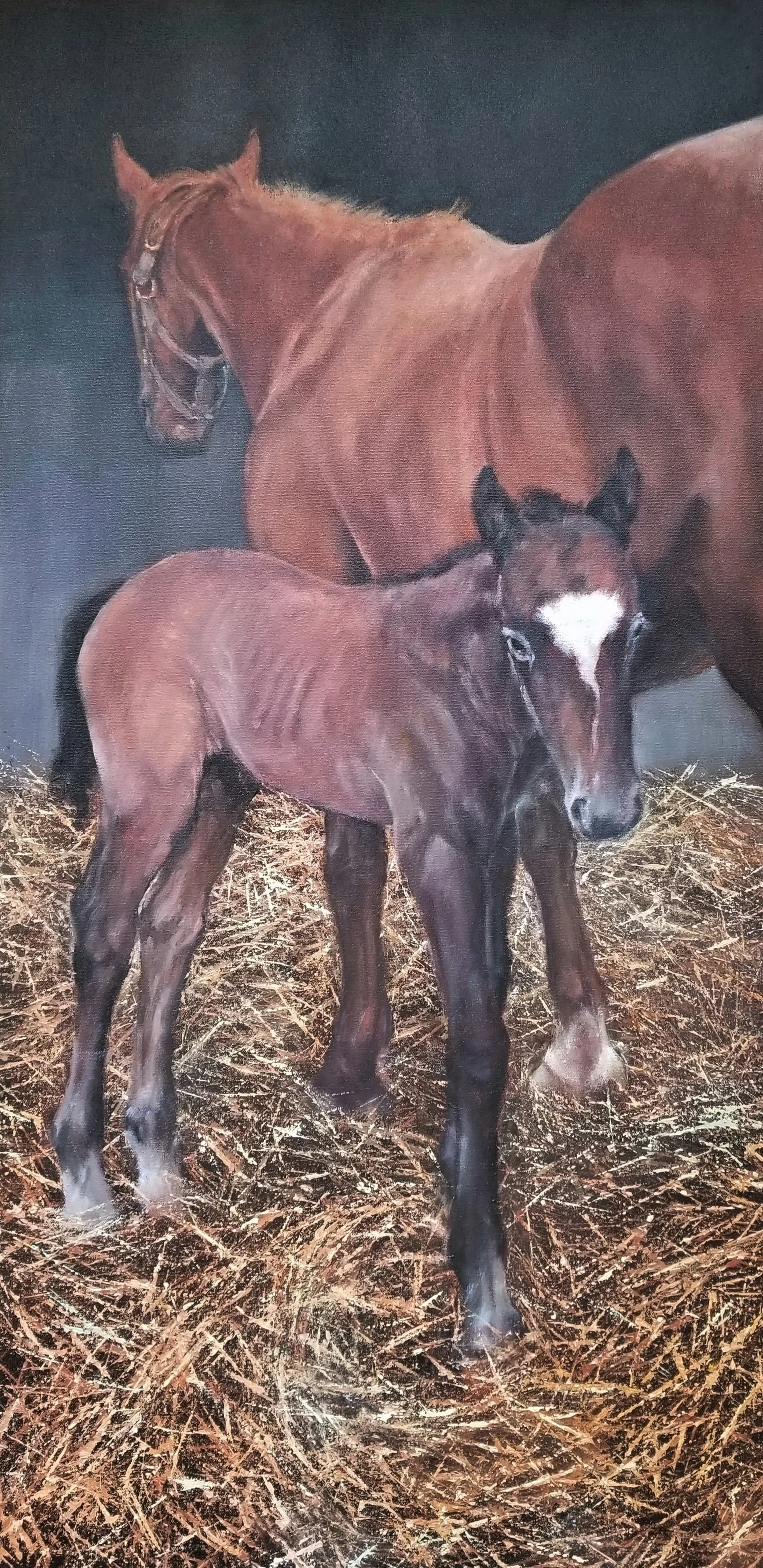 "All You Need is Love" (Frosted's Foal, May 11, 2019)