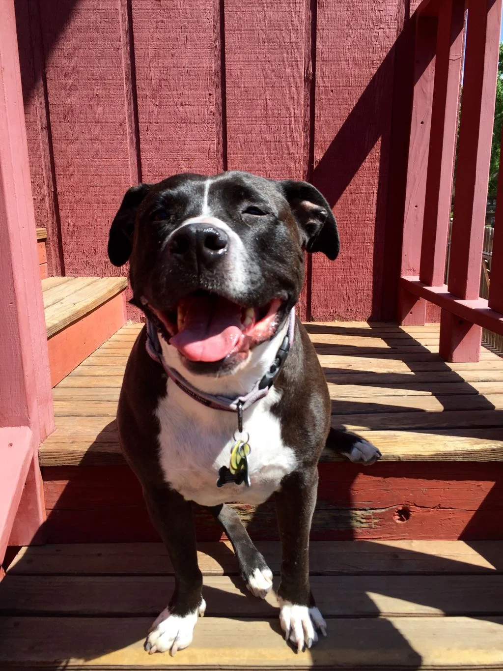 kali-smiling.jpg