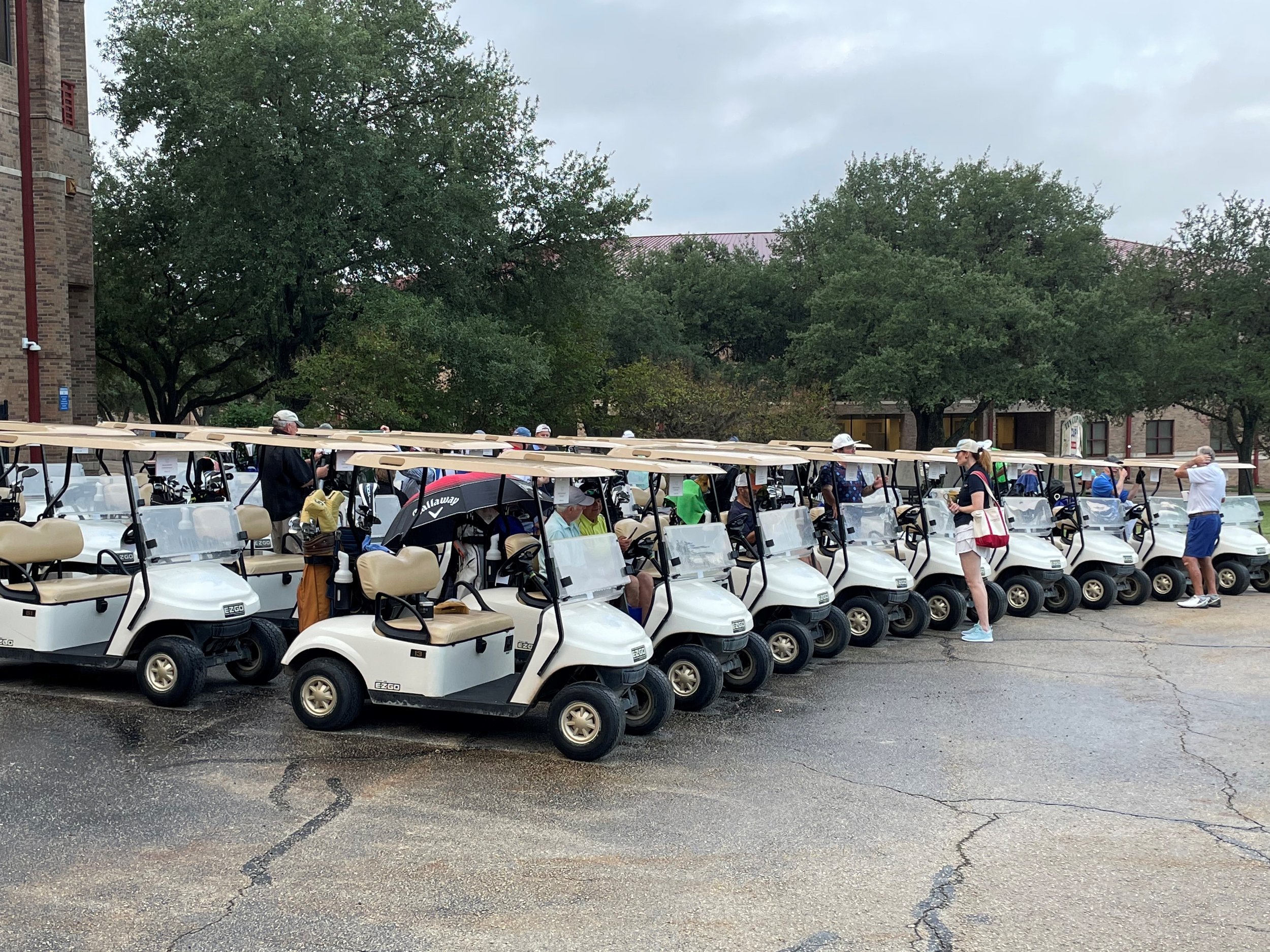 15-golf carts plus teams.jpg