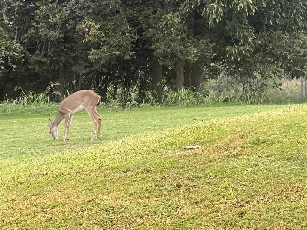 _Do Not Use Pic 5.jpeg