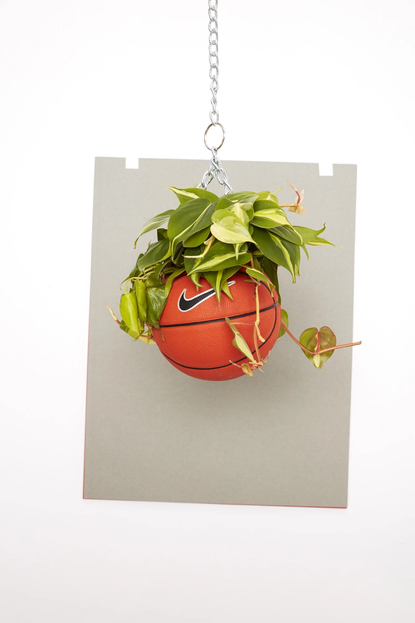 Basketball Planter