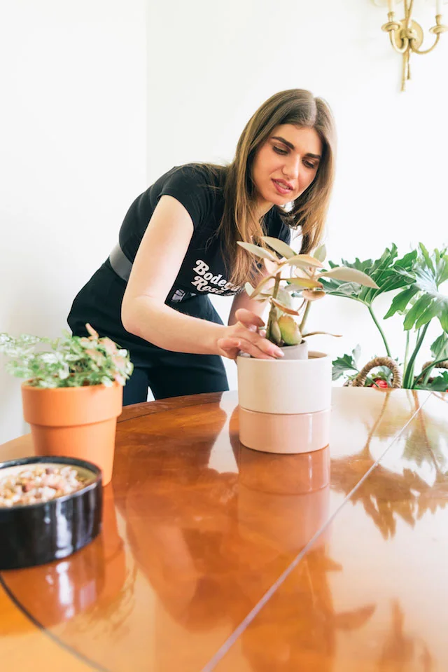 S98PlantshopNYC_4_14_17-10.jpg