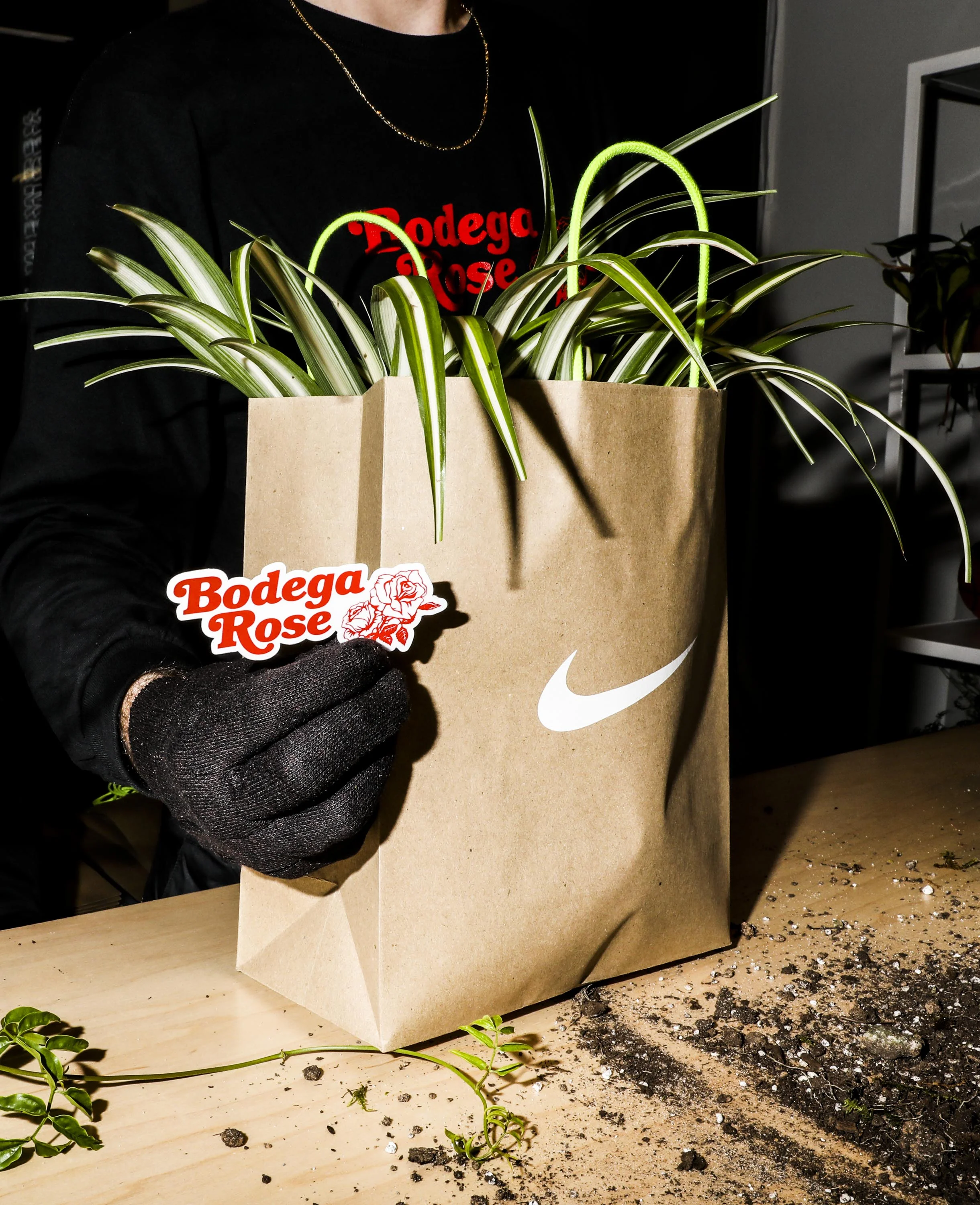 BODEGA_ROSE_092.jpg