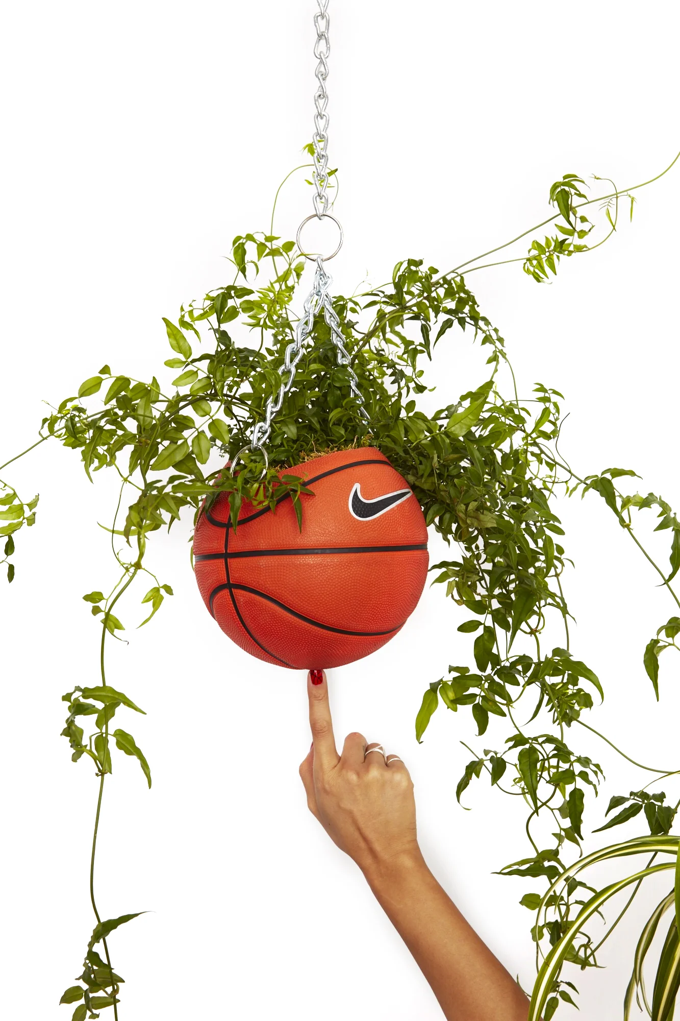 Nike Basketball Planter | Hanging Basketball Pot  BODEGA ROSE
