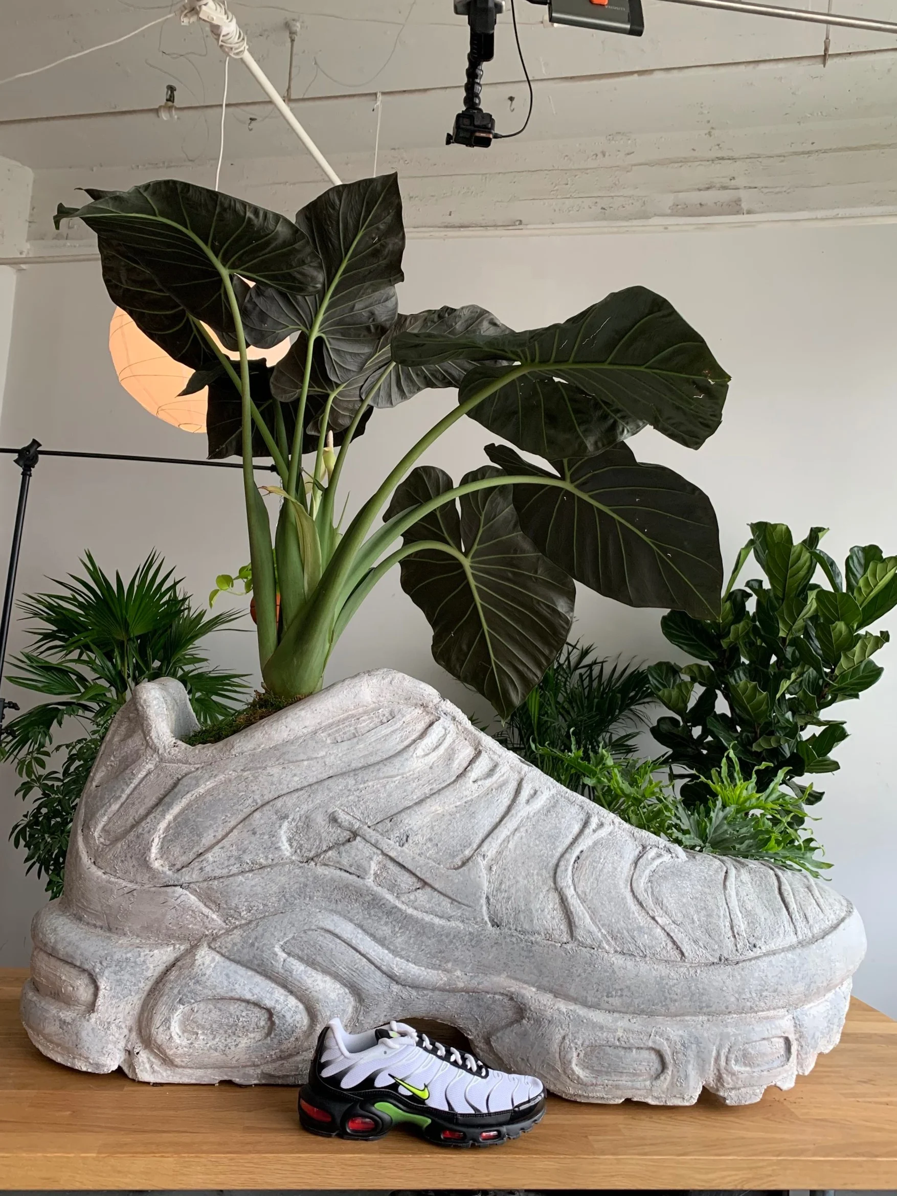5' Air Max Plus Sculpture