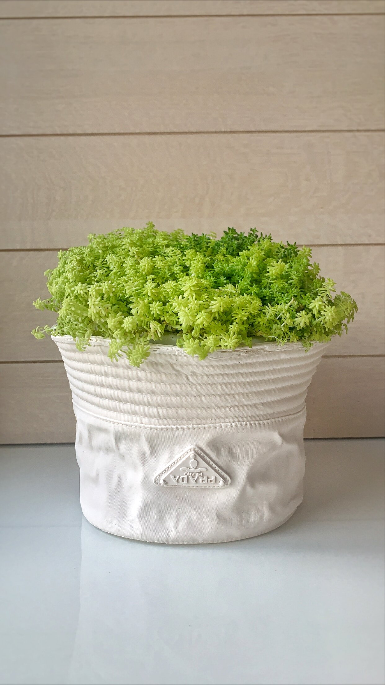 Chanel Prada LV DIY flower Vases