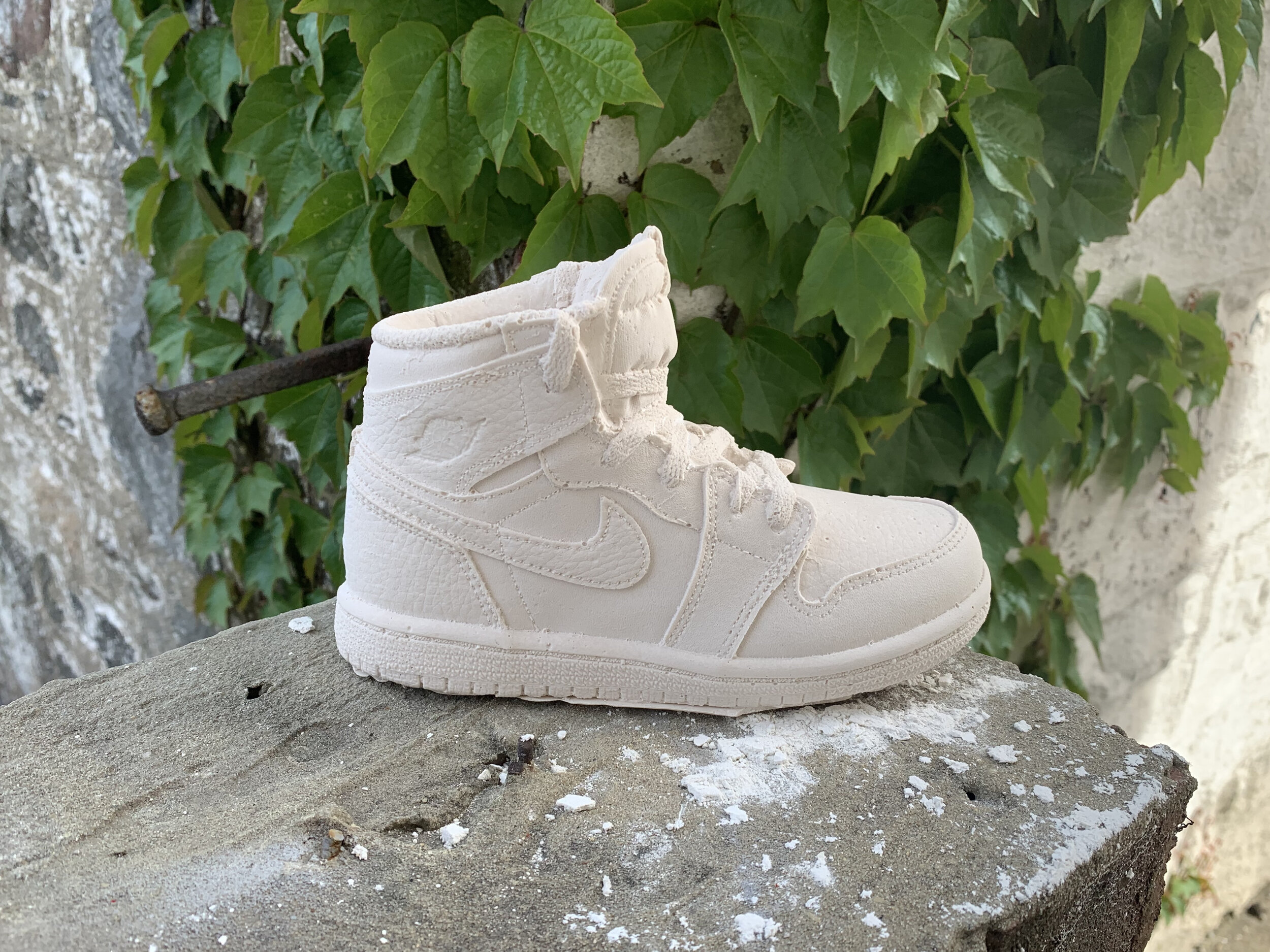 Nike Air Jordan 1 Planter — BODEGA ROSE