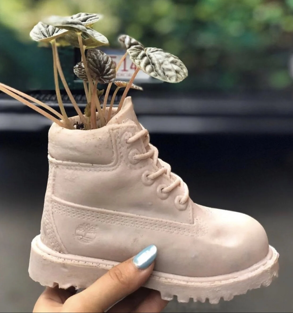 4D706655-4687-4CB3-B091-230C3B41BE2D