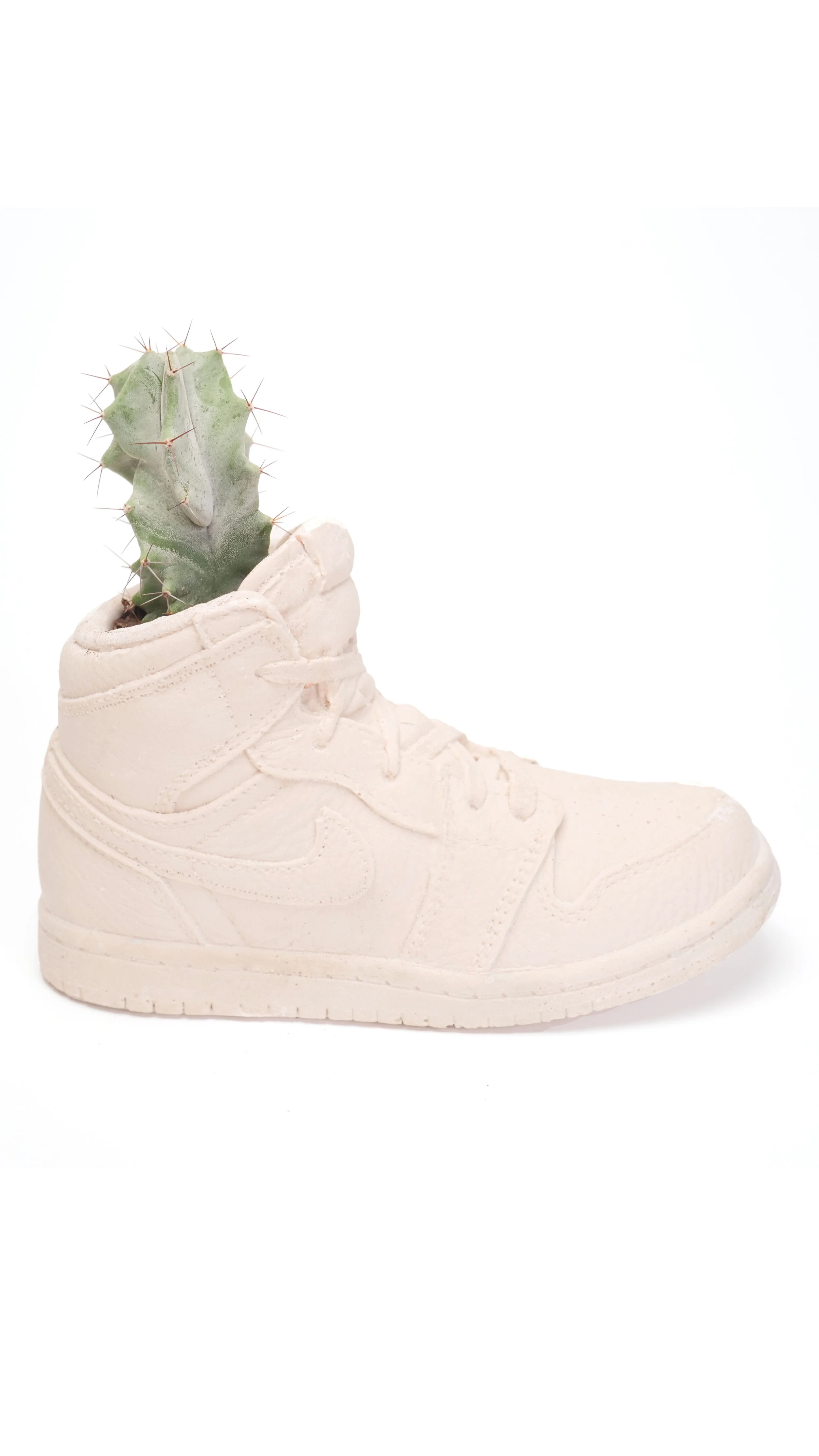 Nike Air Jordan 1 Planter