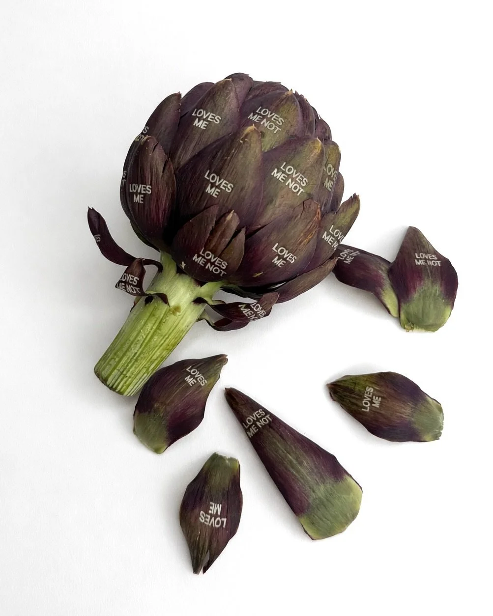 Be my artichoke 🤎