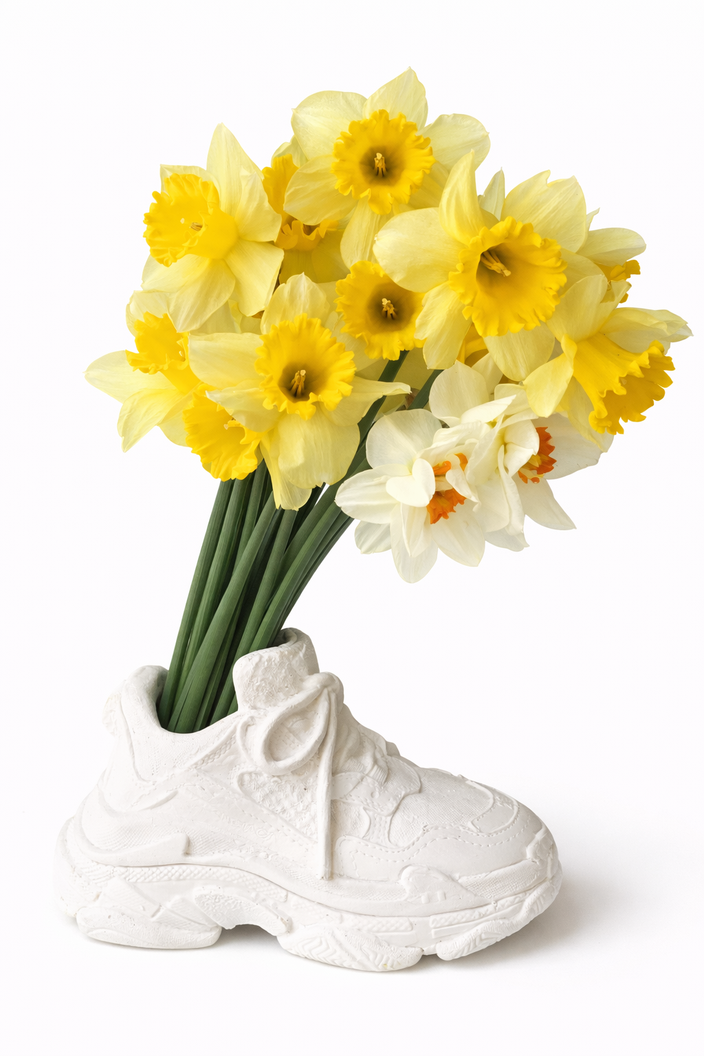 Balenciaga Triple S Planter