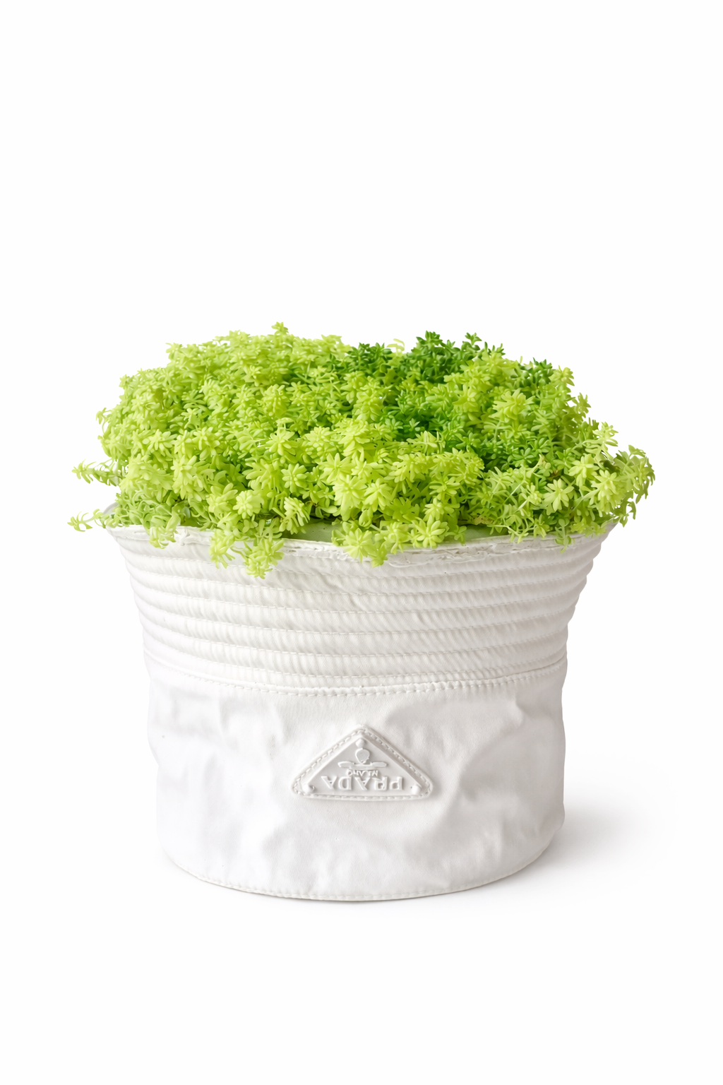 Prada Bucket Hat Vase