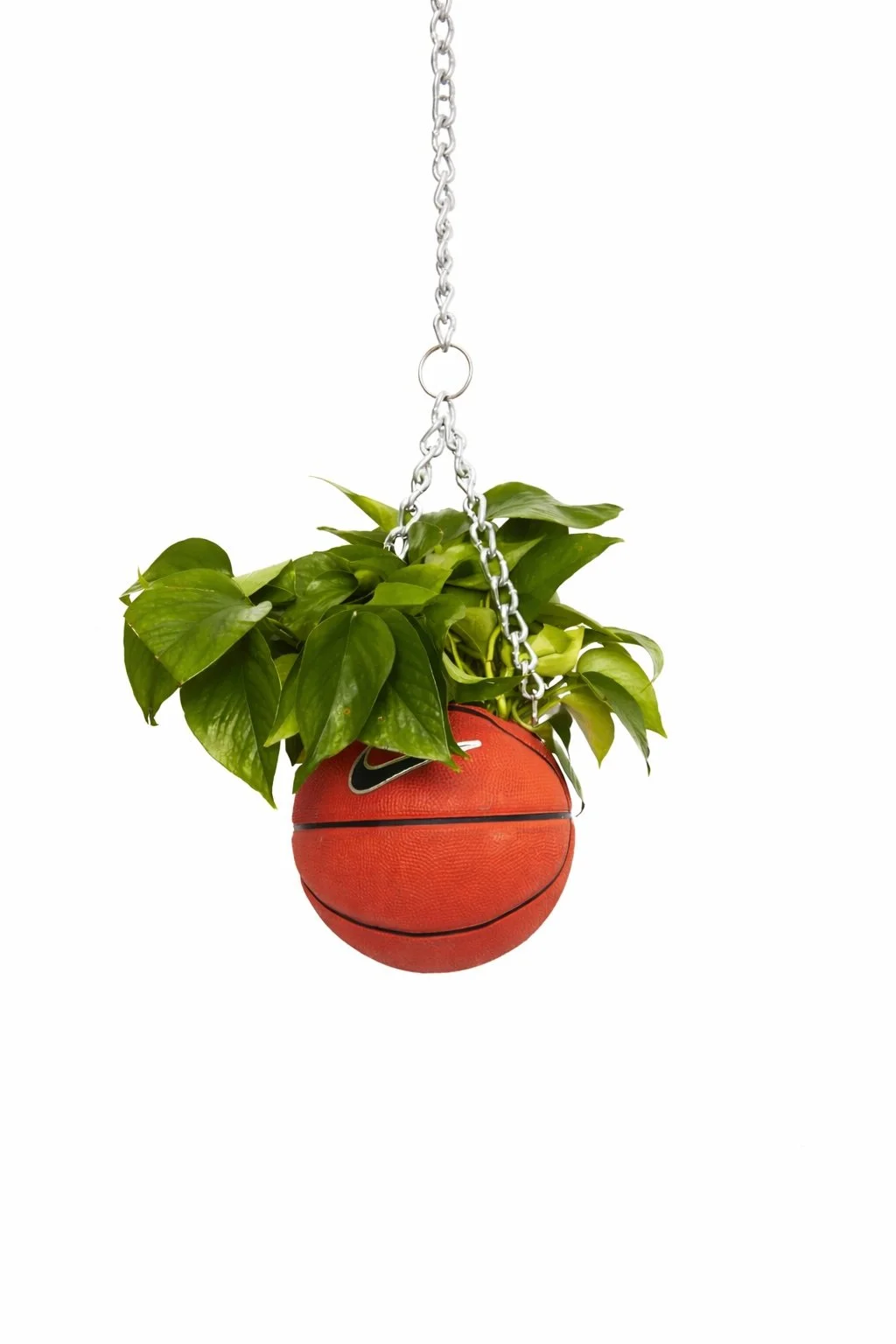 nikebasketballhangingplanter.jpg