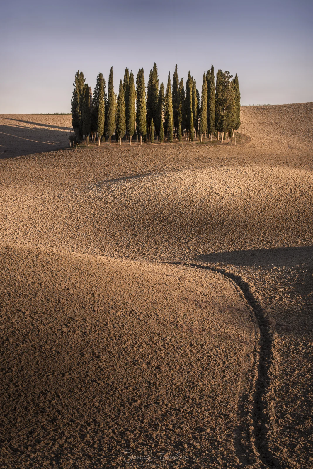 The famous cypress trees of cypress shot using a Haida 3 stop soft graduated neutral density filter.