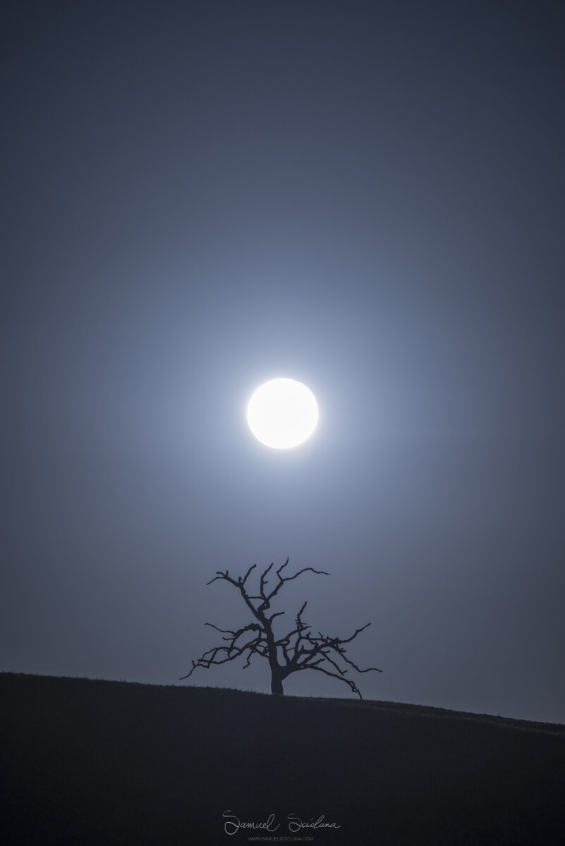 The Moon — Samuel Scicluna Photography