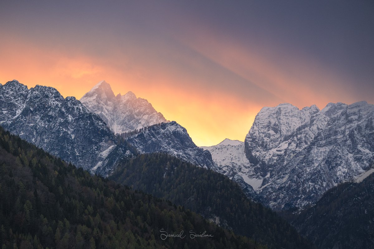DSC_9115-Edit.jpg