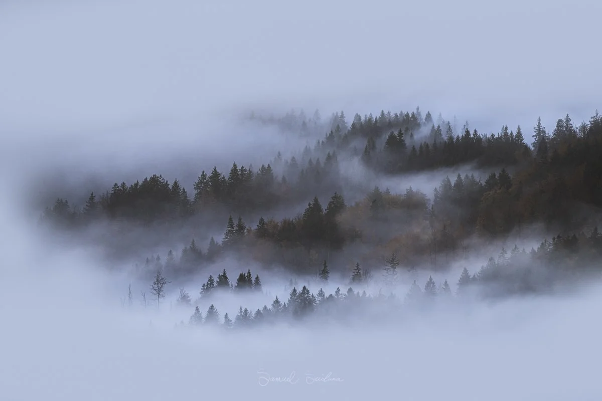 DSC_8919-Edit.jpg