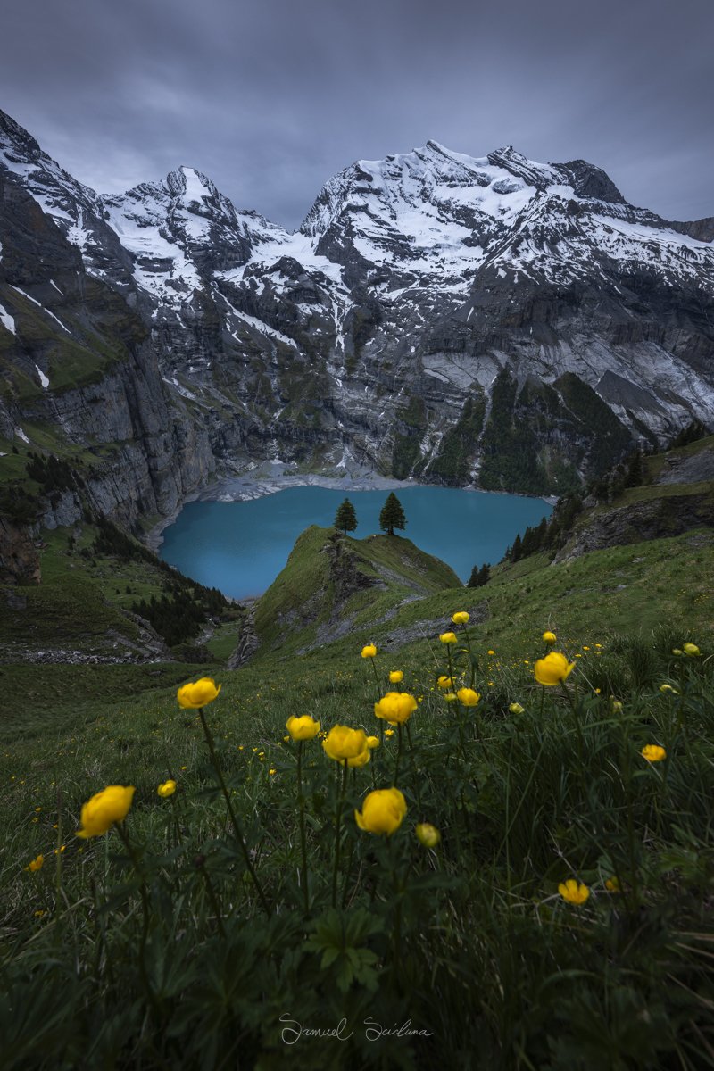 DSC_5528.jpg