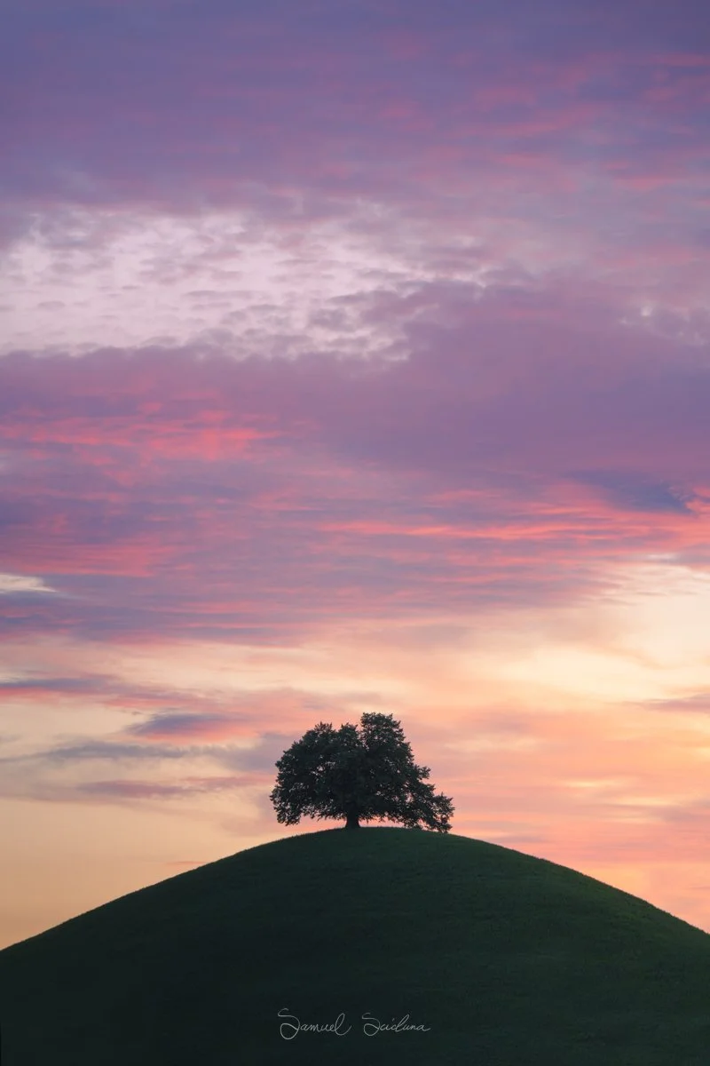 DSC_9135-Edit.jpg