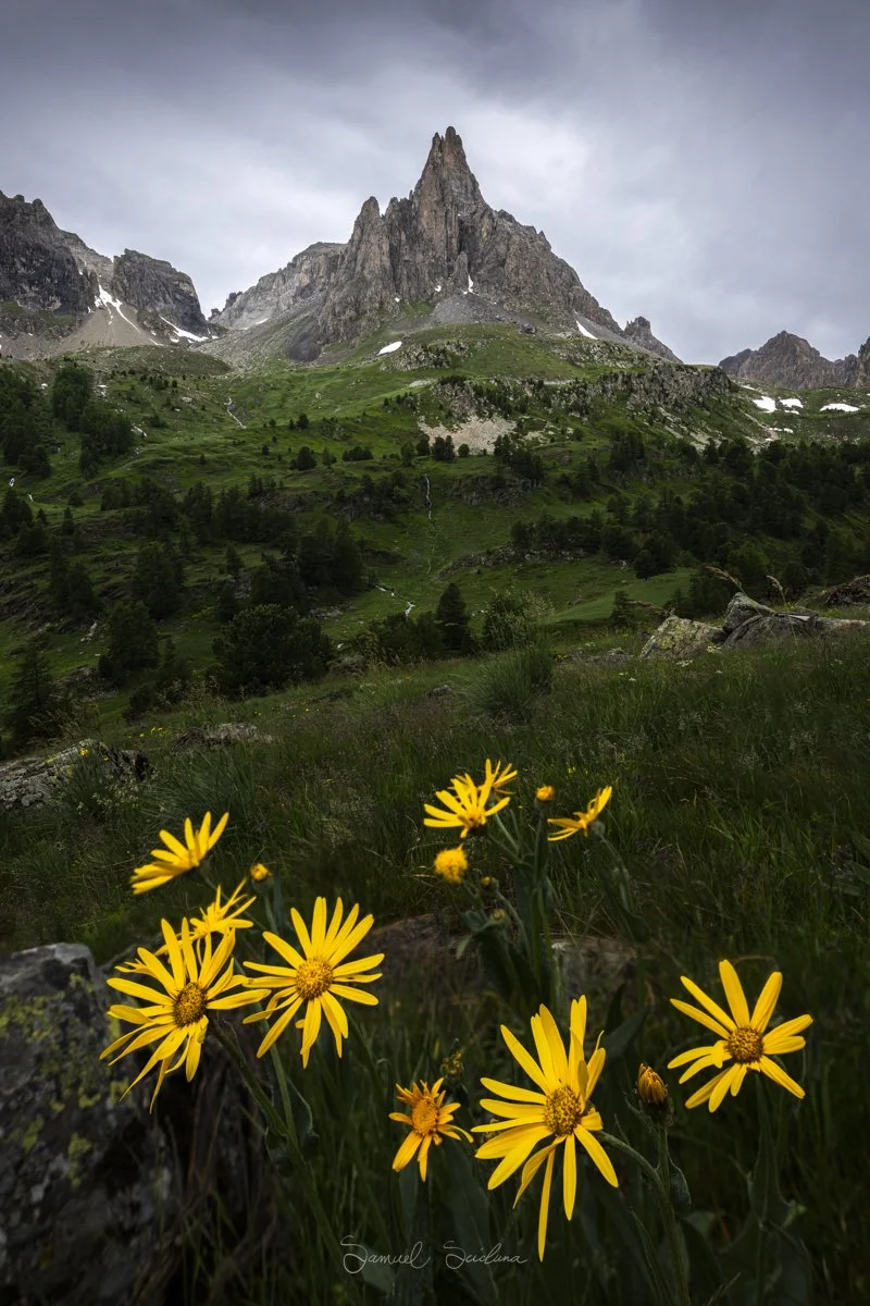 DSC_0791-Edit.jpg