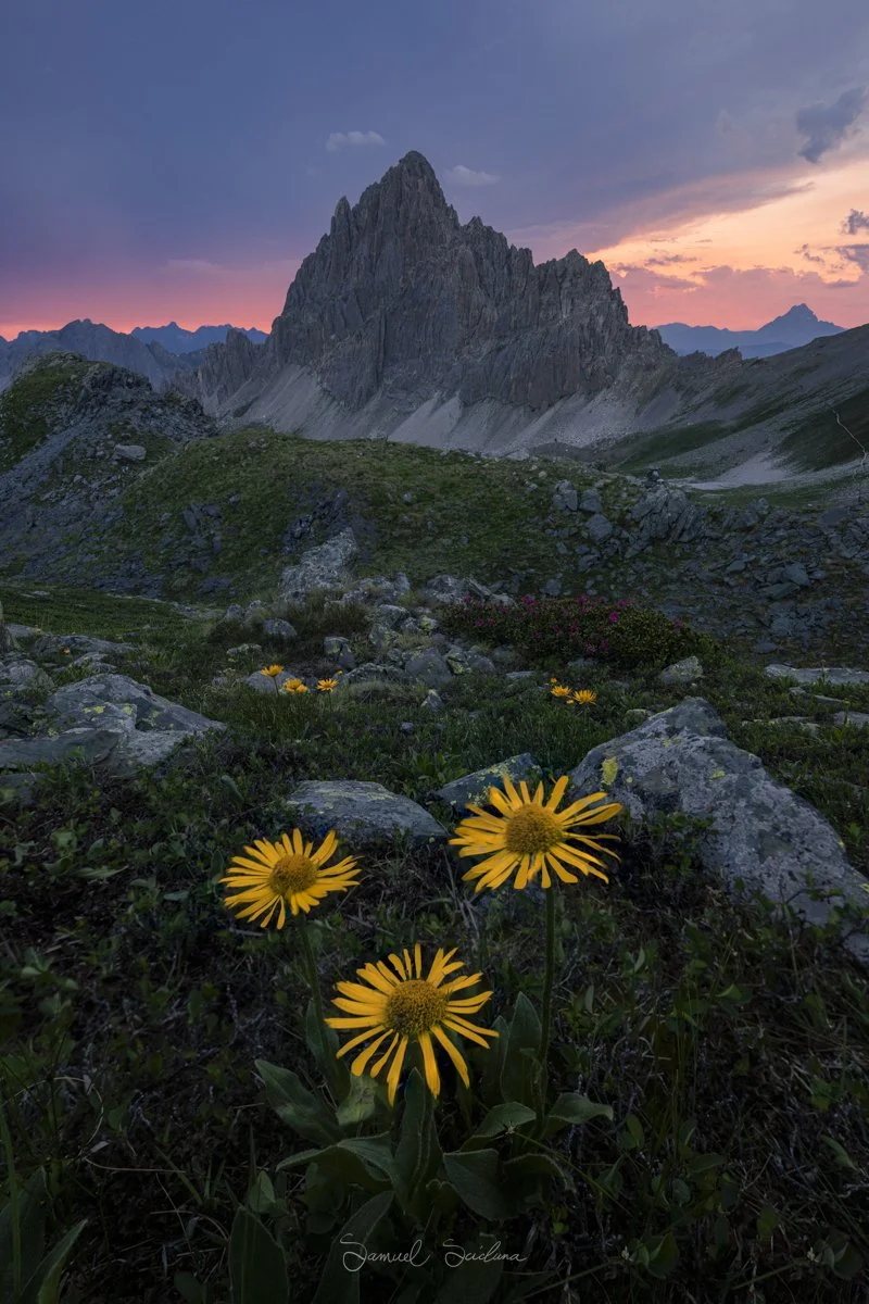DSC_3536-Edit.jpg