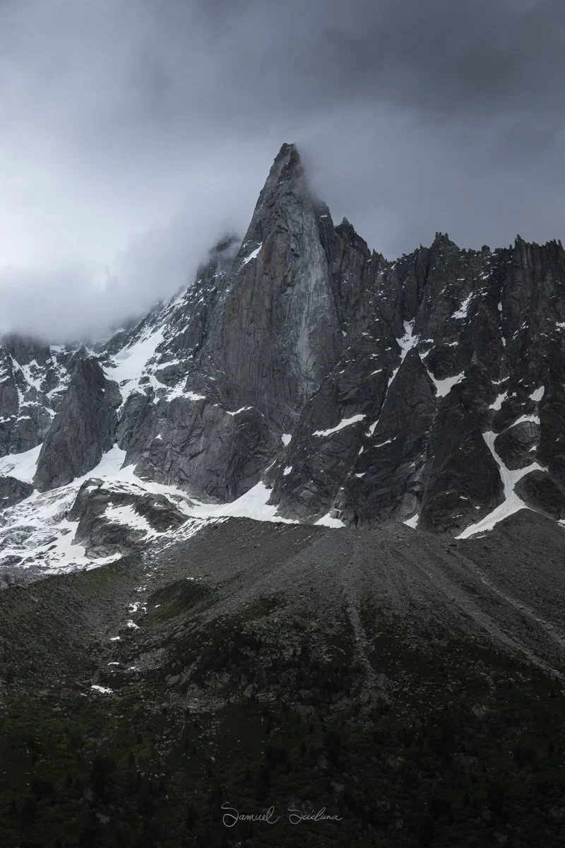DSC_7822.jpg