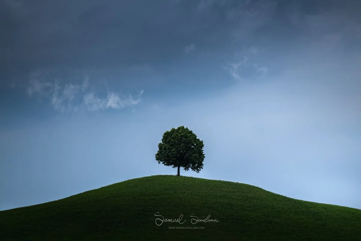 DSC_4173-Edit.jpg
