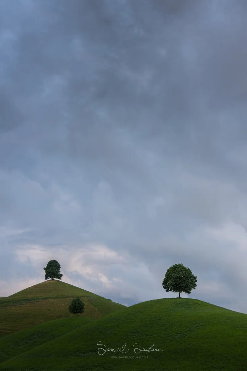 DSC_4245.jpg