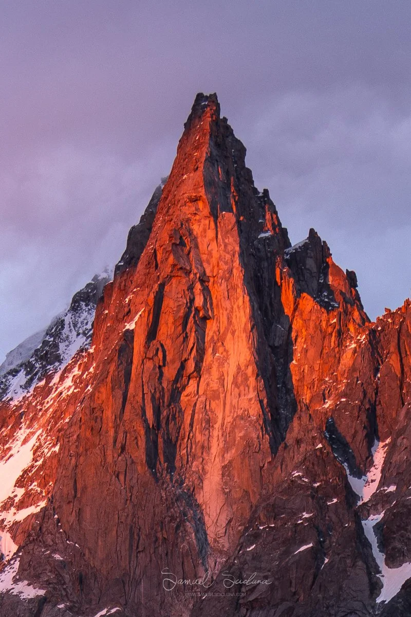 DSC_7736-2.jpg