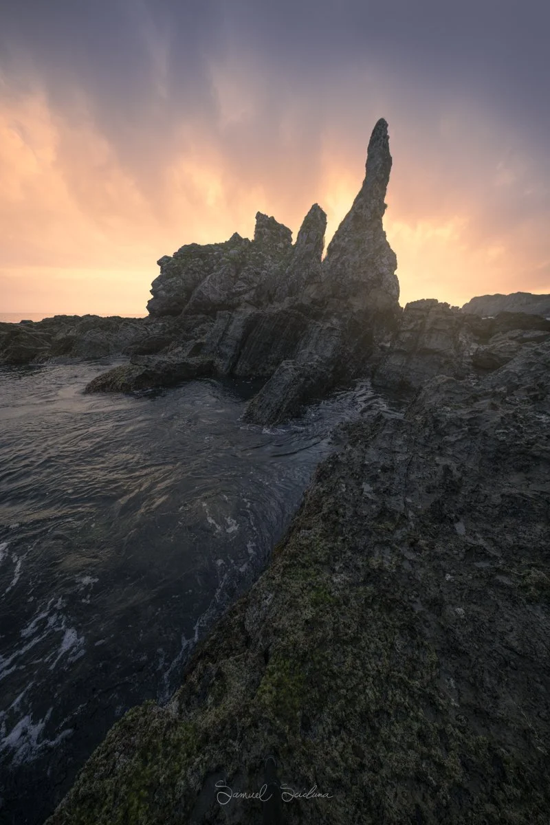 DSC_1867-Edit.jpg
