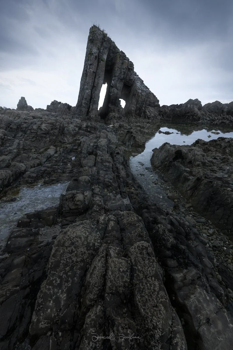 DSC_8922-Edit.jpg