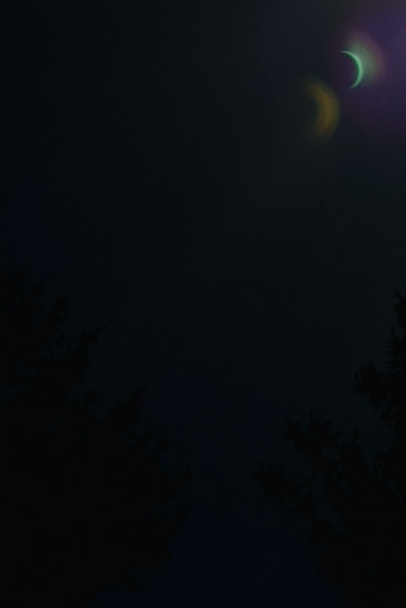 Family and kid portraits during the eclipse in Bellevue and Seattle WA-9.jpg