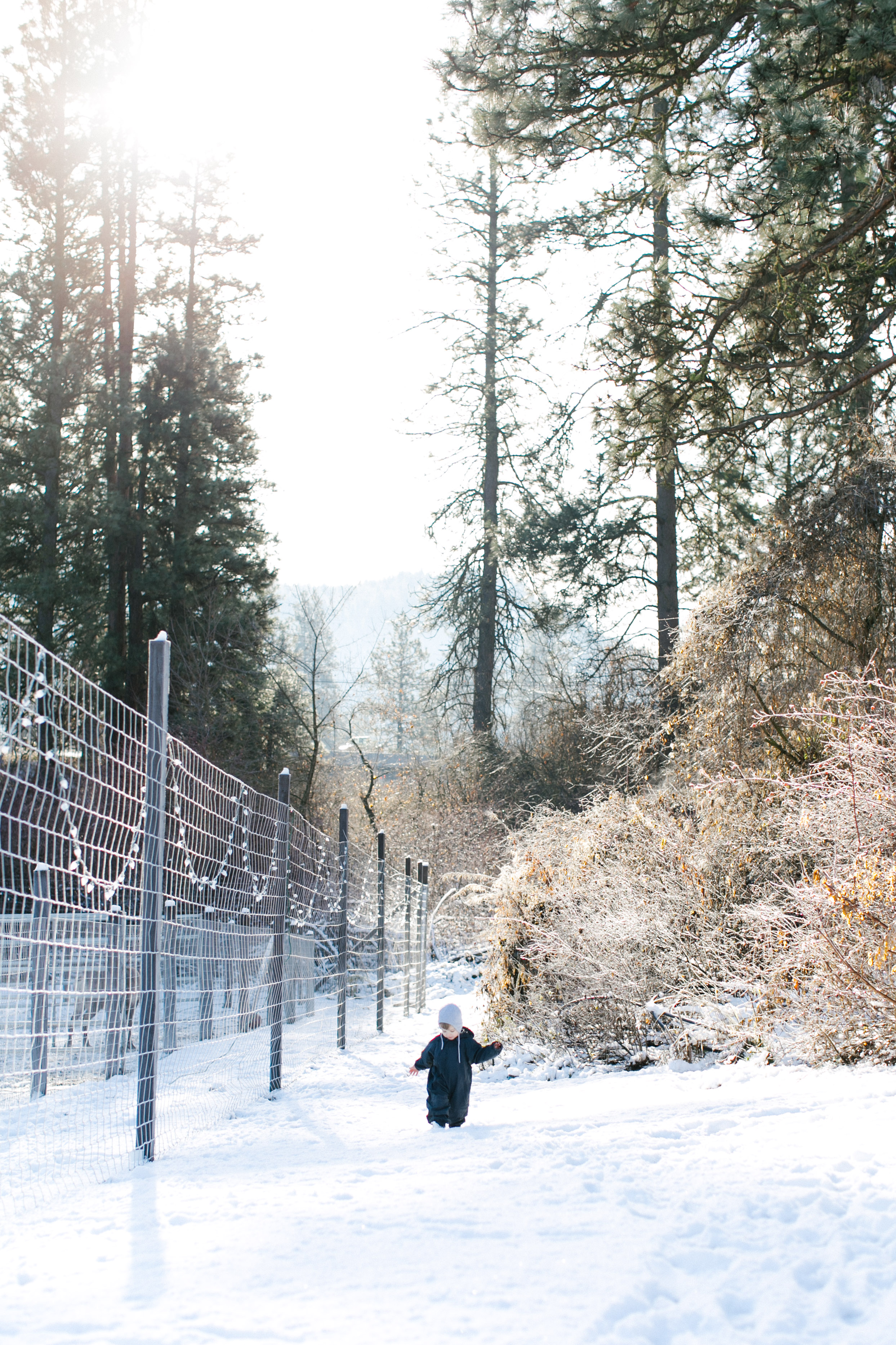 Leavenworth Family Photos Travel Vacation Christmas Washington PNW Chelsea Macor Photography-50.jpg