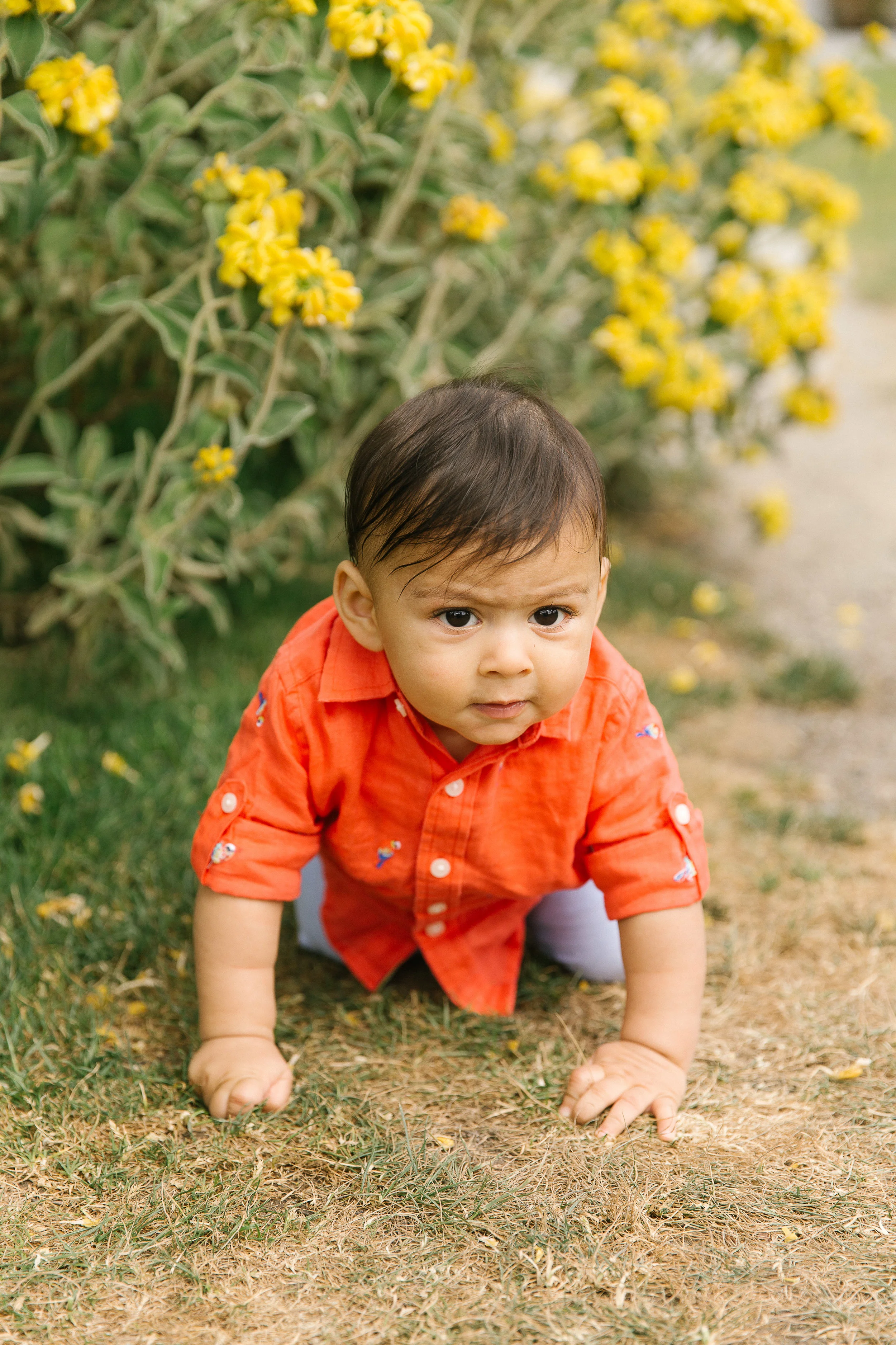 Family photos in the Bellevue Botanical Garden Seattle WA Chelsea Macor Photography-12.jpg