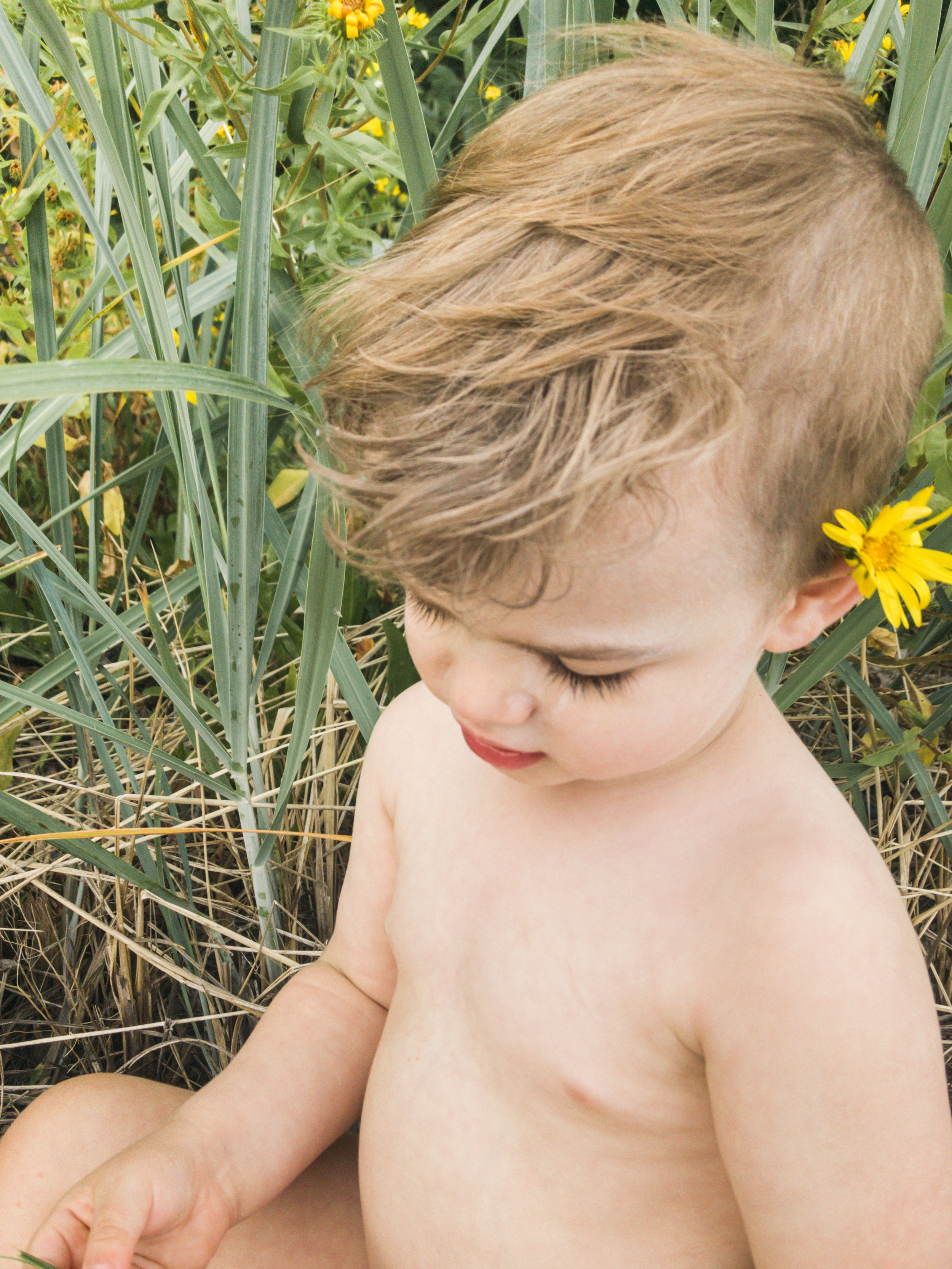 Rufus in the Daisies, Natural Light Photography Seattle Wa Lifestyle Family and Toddler Children Photos by Chelsea Macor Photograhy-2.jpg