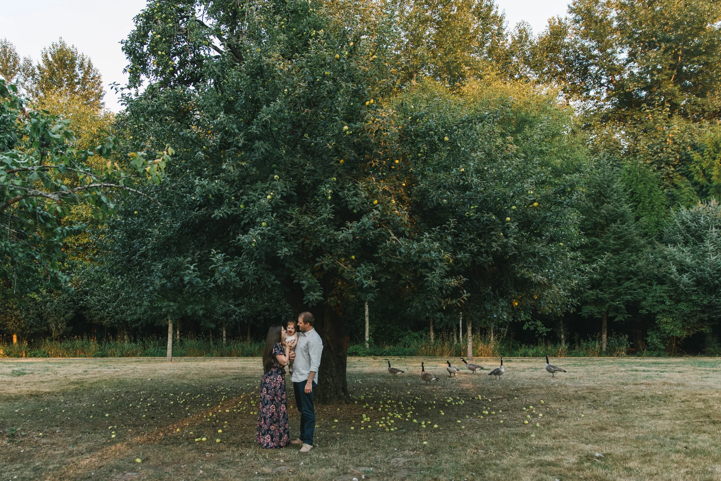 Playful and sweet family session in Issaquah at golden hour and twilight Mom and Dad with their toddler photographed by Chelsea Macor Photography in a playful and intimate way-6.jpg
