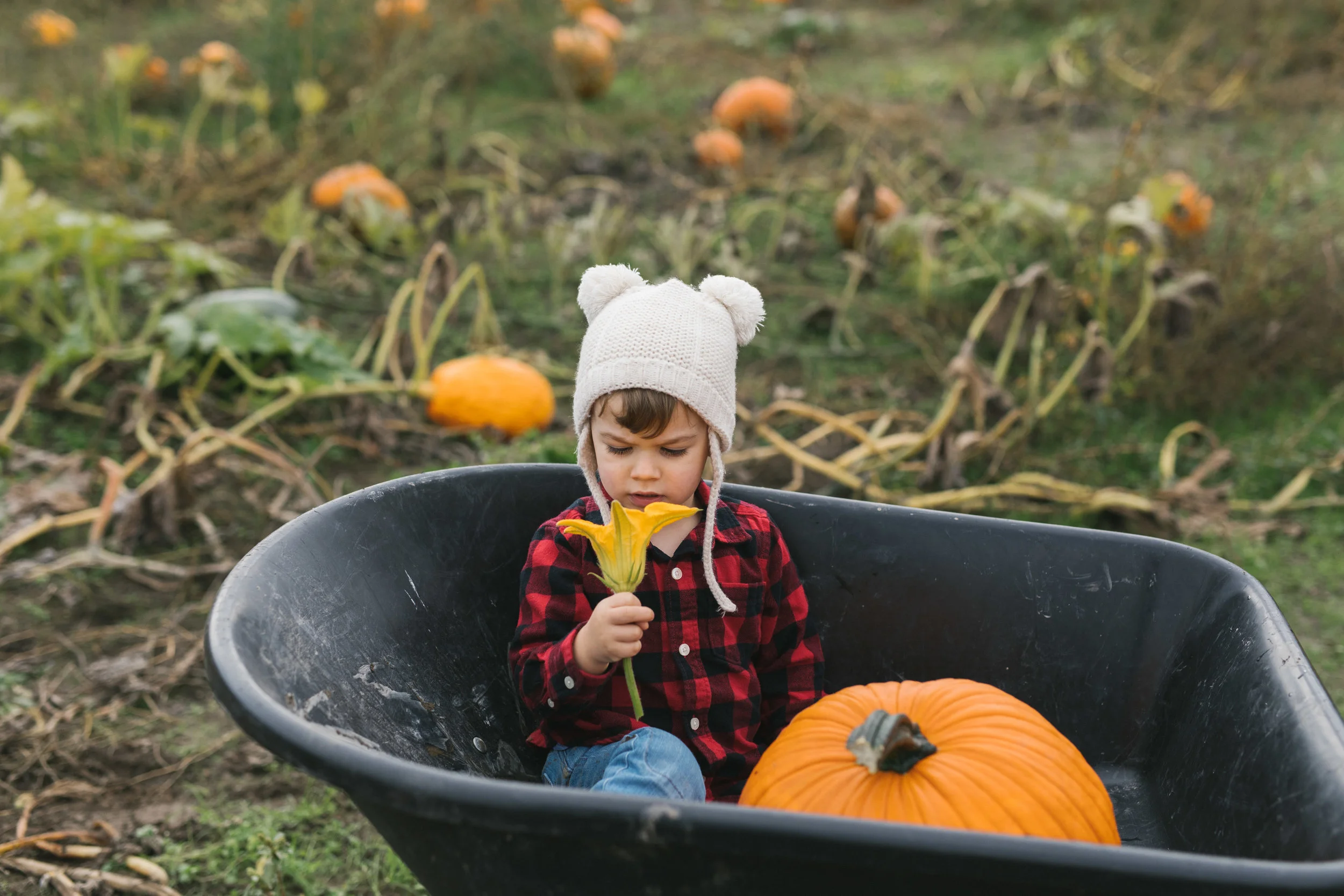 Chelsea Macor Photography-9.jpg