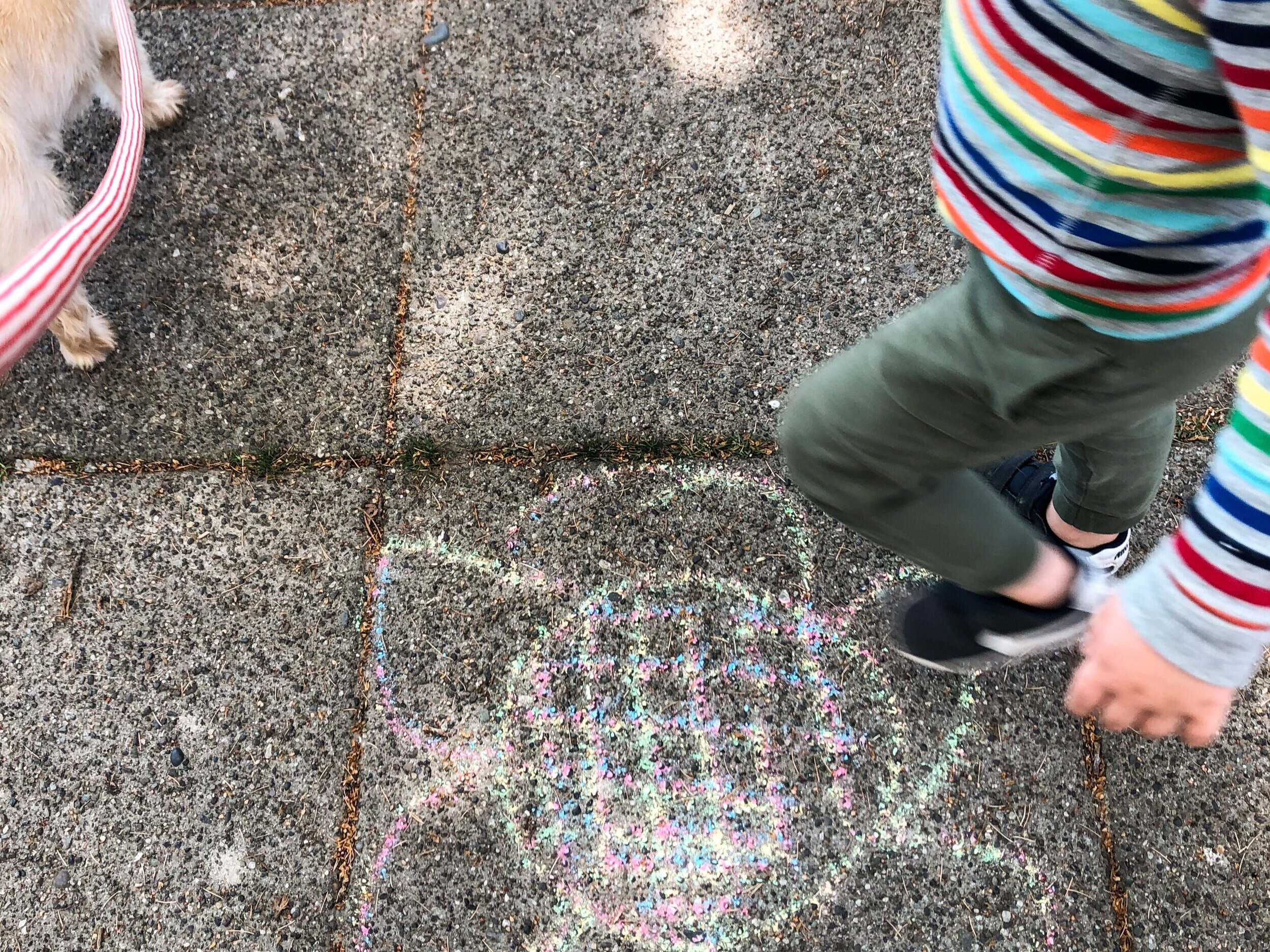 Photo Projects With Kids: A Photo Walk