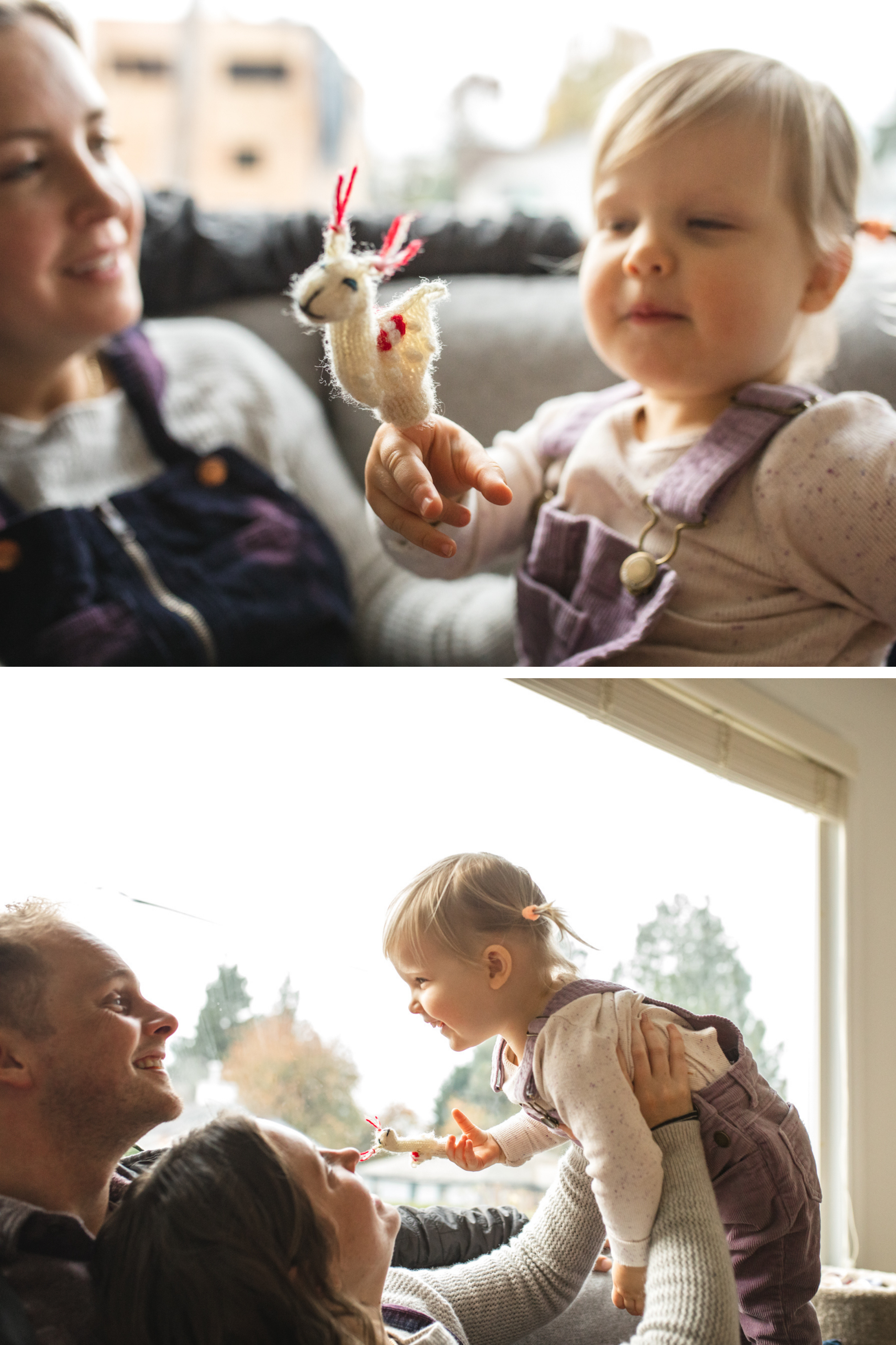 Photo of a family playing with a llama puppet and their toddler in their Seattle Home by Chelsea Macor Photography