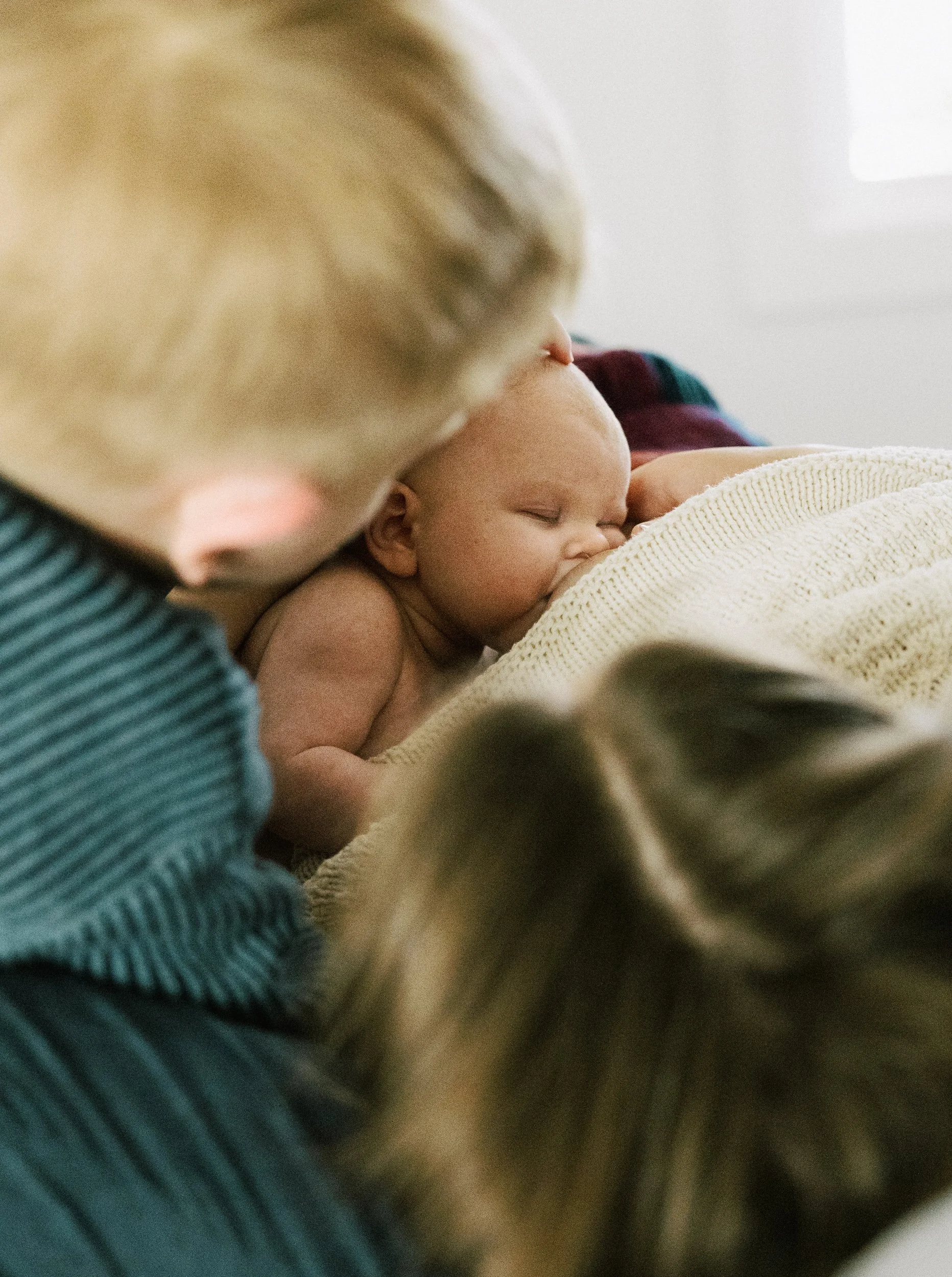 toddler and mother watch nursing newborn baby