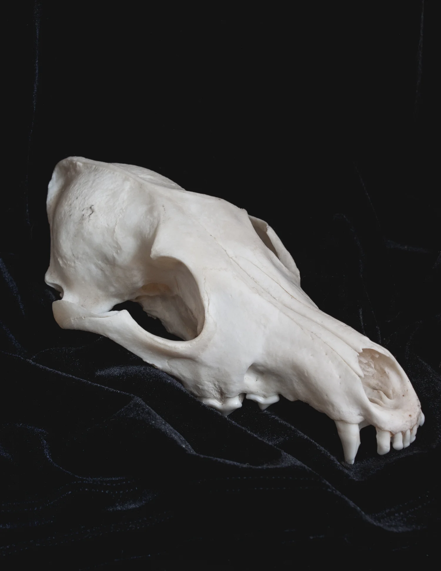 raemystic-resize (38 of 118).jpg