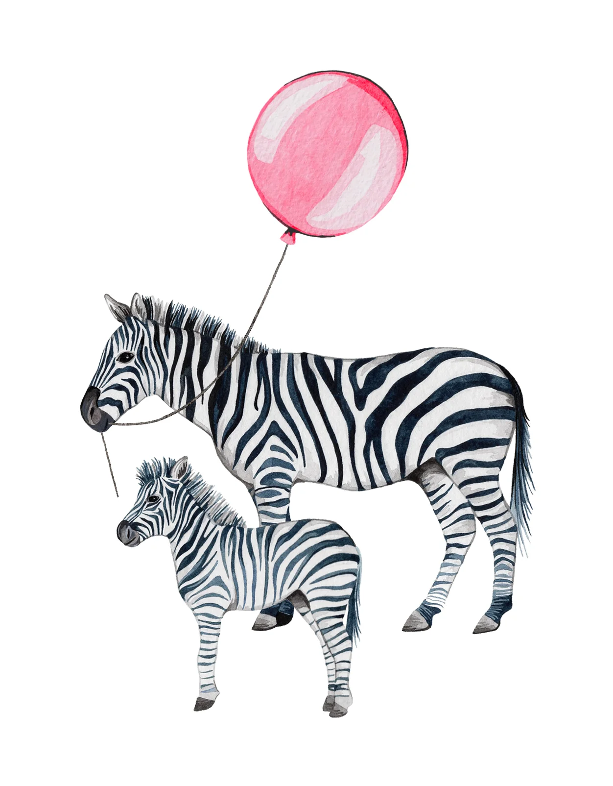 Zebra.jpg