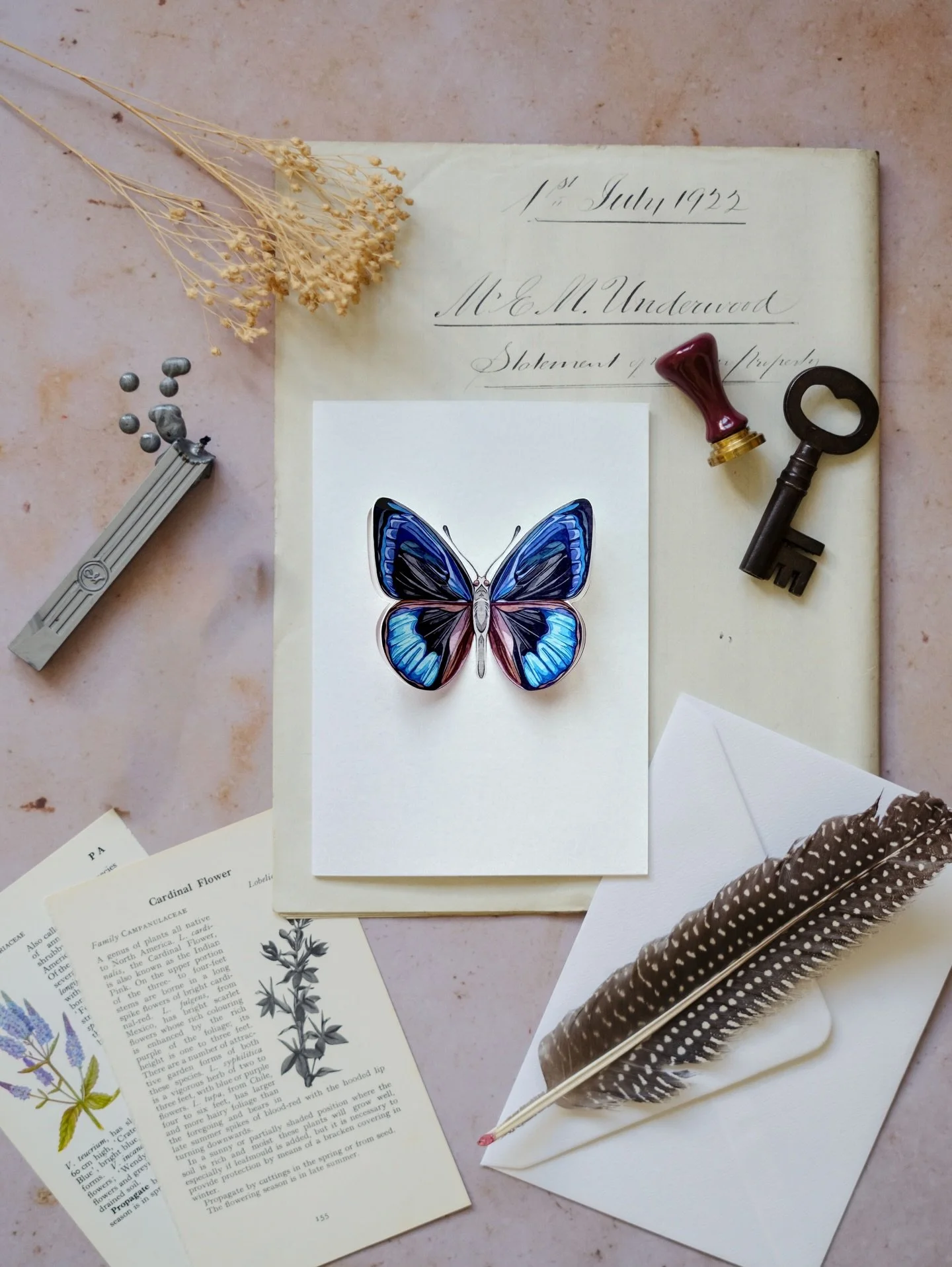 Designed to be kept, not just sent 🦋
Our new pop-out butterfly cards unfold into something truly special. Delicately detailed, thoughtfully made, and a meant to be treasured
.
#watercolour #watercolor #greetingcards #greetingcard #smallbusiness