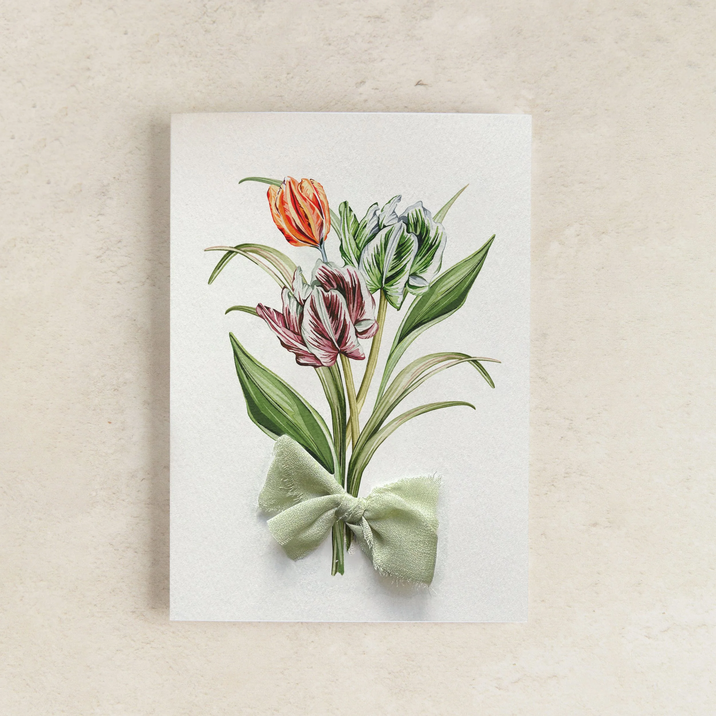 Tulip Ribbon 2.jpg