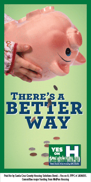 SantaCruzCo_OnlineAds_BannerAds_Bank_300x600_1.gif