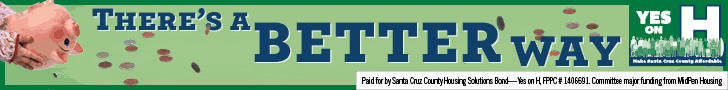 SantaCruzCo_OnlineAds_BannerAds_Bank_728x90.gif