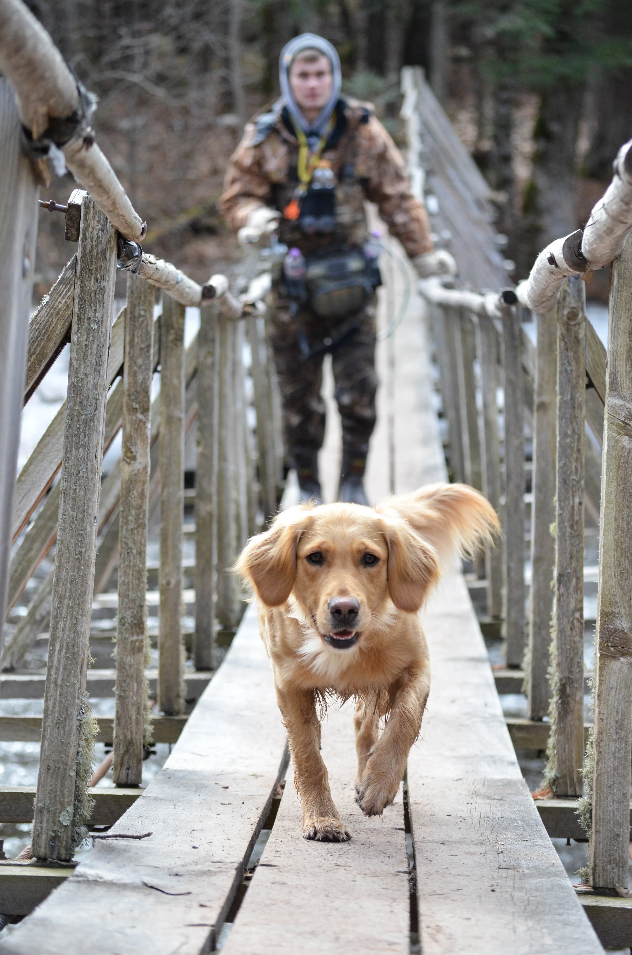 mya bridge edited.jpg