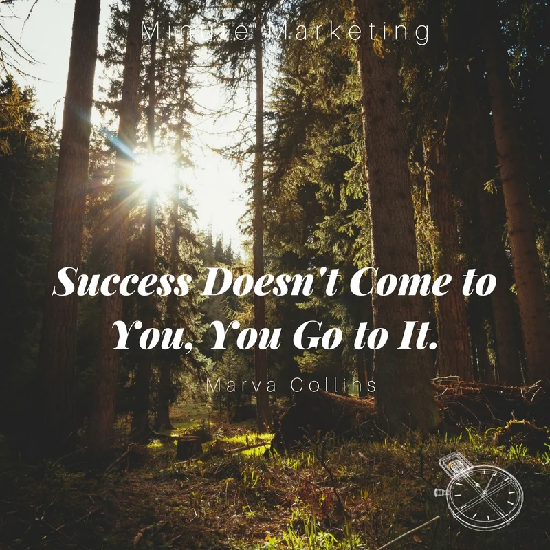 Success Doesn't Come to You, You Go to It